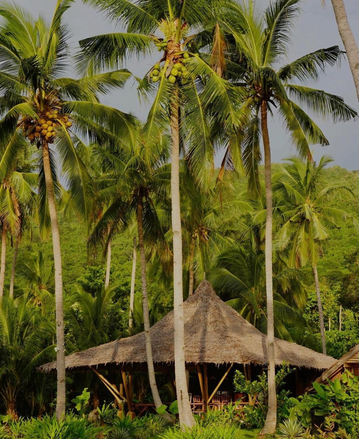 Eco Sanctuaries Nature Lodge Nacpan Beach, El Nido Bagian luar foto