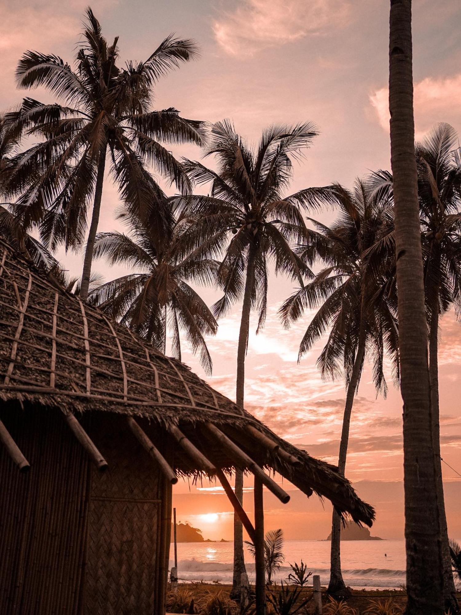 Eco Sanctuaries Nature Lodge Nacpan Beach, El Nido Bagian luar foto
